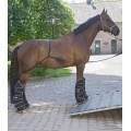 Waldhausen Horse Shipping / Trailer Loading Aid